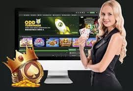 1155bet